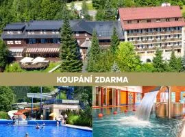 Hotel Sepetná