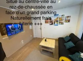 Studio au rdc cœur de ville