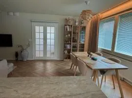 Short stay in the city center with free parking