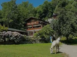 Özde Dağ Evi