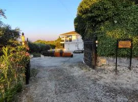 Casa Psarou 1