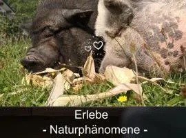 Kleine einzigartige Ferienwohnung auf dem Bauernhof, direkt in der Natur mit Blick auf Schloss Braunfels