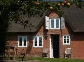 Ferienhaus auf der kleinen Gaarde Ockholm