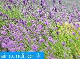 Studio - Café Princ pod Hradem, KLIMA, WiFi