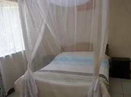 SKC Flat, Kilimani Area