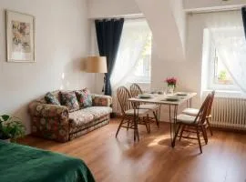 Apartments Romantic and Family Room Zemlinski 9,10, 11