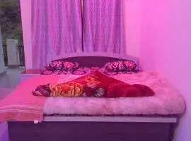 Cosy Paradise