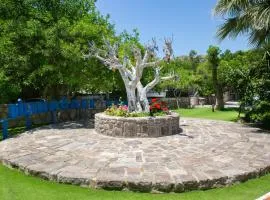 Dilekagaci Boutique Hotel and Beach