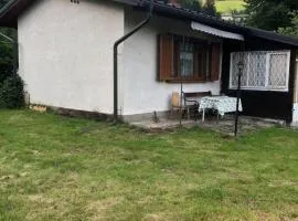cozy alpine house