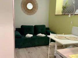 Apartament Zielony Gaj Ustroń Wczasowa 90