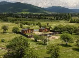 Tianeti Apple Cottages