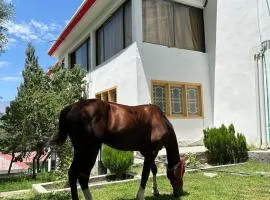 HOTEL ELITE SKARDUu