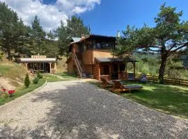 Villa INDIANA Devin