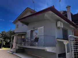 Anna's House