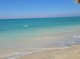 شاليهات للايجار بقريه تافيرا بيتش رأس سدر