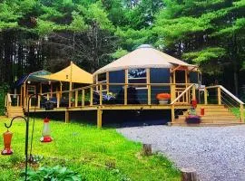 Unique Yurt Cabin Experience in Woods w/ Hot Tub