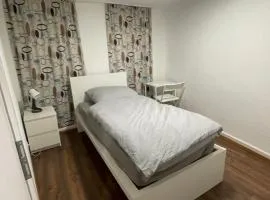 Haus zum Bacchus Privatezimmer near Bahnhof Römisches Theater Mainz