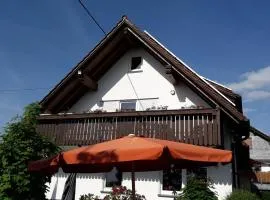 Lausebuche Im Sauerland