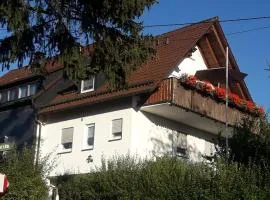 Lausebuche Im Sauerland