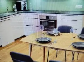 Beautifully furnished spacious property in Servoz