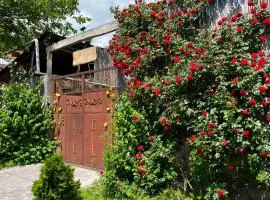 Narek B&B