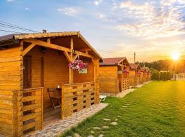 Casa Fericirii, hotel v destinácii Cîrţişoara