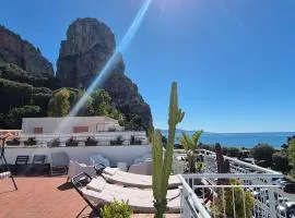 REale Apartments