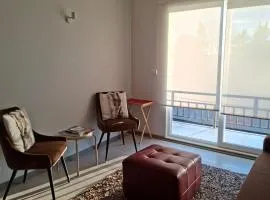 Pucón Soñado Te Espera