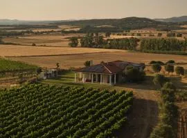 Villa Colle dei Vigneti - Sardinian Vineyard Estate