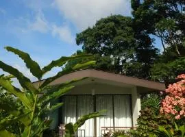 Yellow Tree Suites
