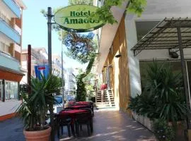 Hotel Amados
