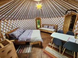 BUHO Eco Yurt Rayen Pulli AC Parking Wifi