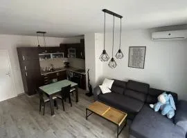 Apartment Carevo 10