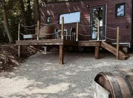 La Cabane de Gus - Tiny House Insolite au cœur des Vignes de Champagne - Vue Panoramique - 1h30 de Paris