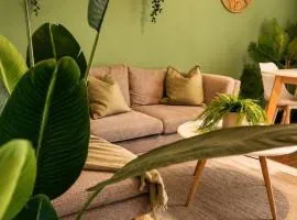 Terracotta & Jungle Centre Muret Parking