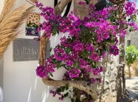 Hotel Villa Tokur