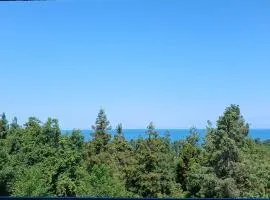 Nice Hotel