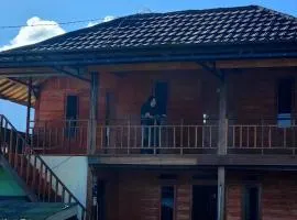Punik Family Villa