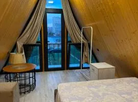 Eco villa