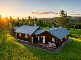 Unique mountain retreat in Gol