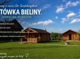 Witówka Bieliny