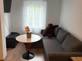 Cozy apartment in Tennfjord