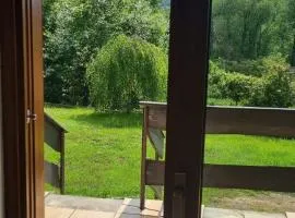 Dziupla