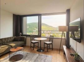 Business Apartment Baden Central Station, hotel din Baden