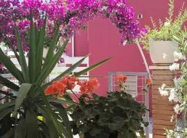 Bouganvillea