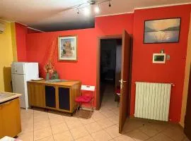 Figli delle stelle