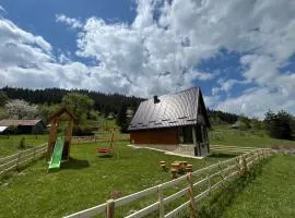 Vikendica Oaza Mira, Tara
