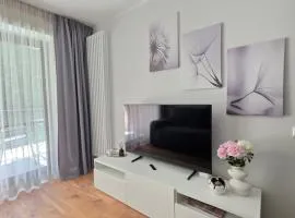 Kurzemes Pērle Beach Apartament - Albatross