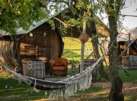 Tiny Wineyhouse no 1