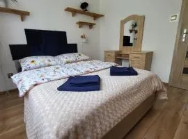 Apartament nad Soliną